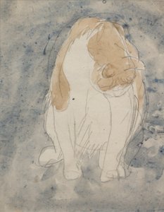 Study of a Cat, c. 1910-20