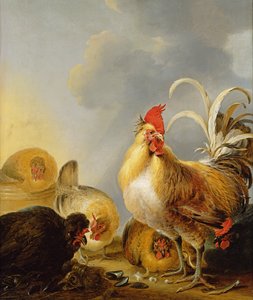 A Group of Farmyard Fowl
