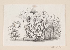 Illustration for 