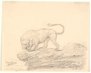 A Lion on a Rock. It Watches a Passing Bird by H.W. Bissen