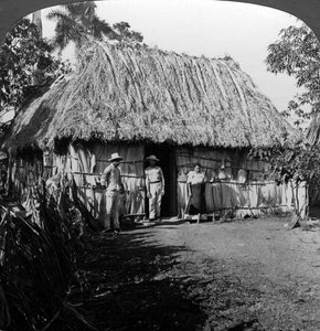 A Home in the Interior of the Island of Cuba