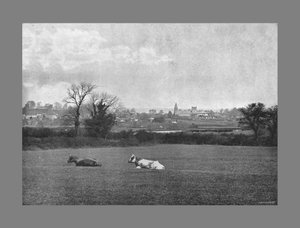 Southwell, c1900