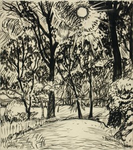 Sun-lit Path