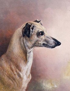 Head of a Greyhound by H. Morley Park