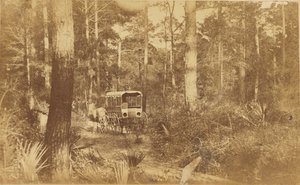 Scene on Folly Island by Haas and Peale