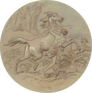 One of eighteen designs for a series of plates illustrating Venus and Adonis by Hablot Knight Browne