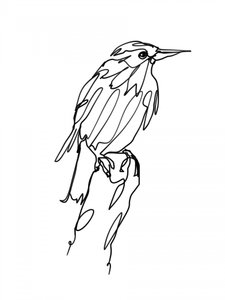 Abstract Bird Line Art by Hanna Lee Tidd