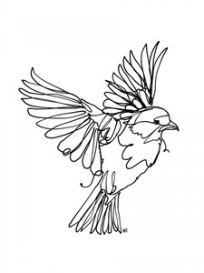 Flying Bird Line Art by Hanna Lee Tidd