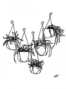 Minimalist Hanging Plants by Hanna Lee Tidd