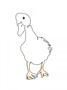 Sweet Duckling Line Art by Hanna Lee Tidd