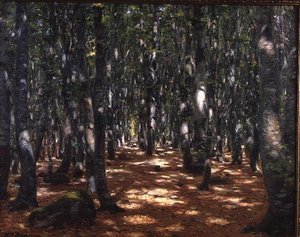Sunlit Forest by Hans Andersen Brendekilde