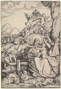 The Virgin and Child with Eight Angels in a Landscape by Hans Baldung