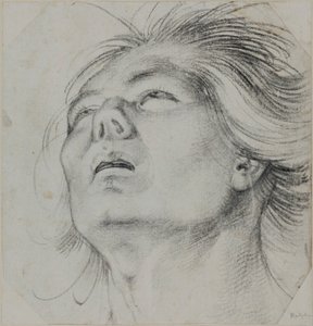 Head of a Young Man, Seen From Below by Hans Baldung Grien