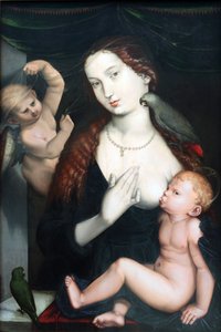 The Madonna with the Parrots by Hans Baldung Grien