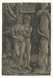 Temptation of Adam and Eve in Paradise by Hans Baldung Grien