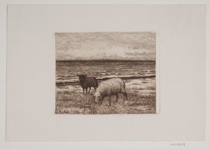 Sheep on the Shore by Hans Christian Gether Caspersen