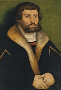 Portrait of a Bearded Man