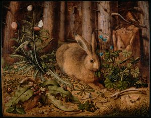 A Hare in the Forest, ca 1585