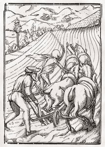 Death comes for the Farmer or Husbandman, engraved by Georg Scharffenberg, from Der Todten Tanz, published Basel, 1843 by Hans Holbein der Jüngere