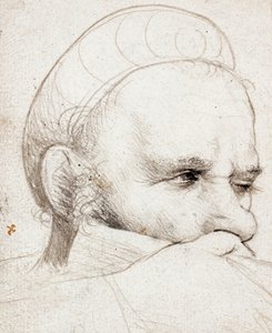 The Head of a Crossbowman Taking Aim by Hans Holbein the Elder