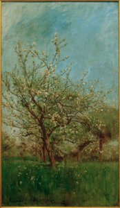 Blossoming Trees Uerdenbach
