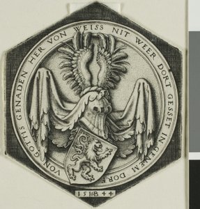 Coat of Arms with a Rampant Lion