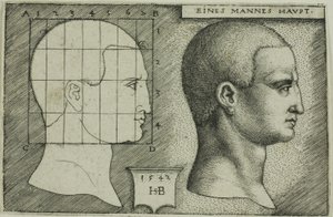 Profile Study of Man