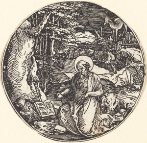 Saint Jerome in Penitence by Hans Springinklee