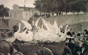 Wild Swans, illustration by Hans Tegner for fairy tale by Hans Christian Andersen by Hans Tegner