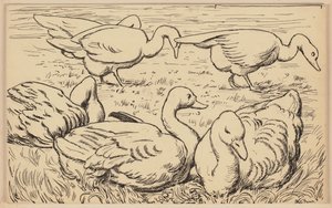Drawing for the Primer: Goose by Hans Thoma