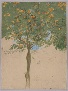 Orange Tree by Hans Thoma