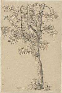 Rowan Tree by Hans Thoma