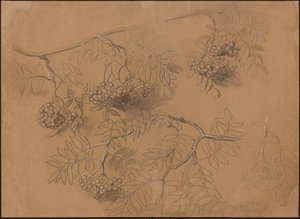 Rowan Branches by Hans Thoma