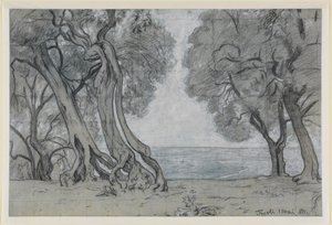 Olive Trees near Tivoli by Hans Thoma