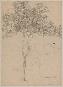 Study of an Orange Tree from the Sorrento Area. Outline of a Female Figure by Hans Thoma
