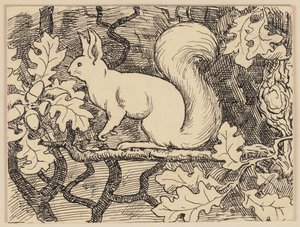 Drawing for the Primer: Squirrel by Hans Thoma