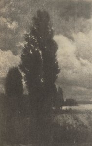 Camera Work: Poplars and Clouds by Hans Watzek