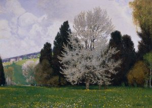 Spring in the Vienna Woods