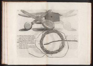 Illustration from the Voyage to the Island Madera, Barbados...Vol.2