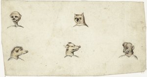 Heads of Four Animals and a Skeleton by Harmen ter Borch