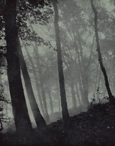 Arched Walks of Twilight Groves and Shadows Brown of Pine, or Monumental Oak, Milton by Harold Burdekin