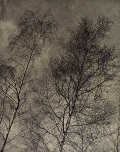 Their Charm is Writ Along a Liquid Sky, Robert Bridges by Harold Burdekin