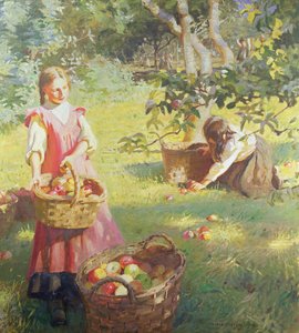 Apples