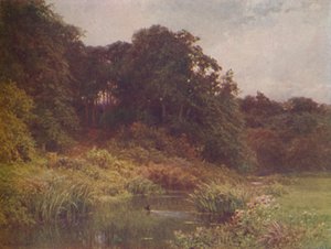 A Brook