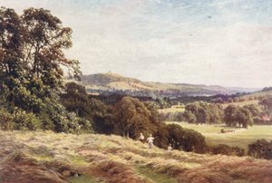 A Hayfield, Wonersh