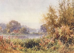 Autumn Weeds, Chilworth