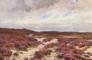 Frensham Common by Harold Sutton Palmer