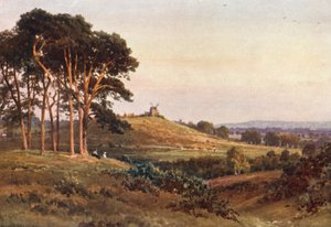 Reigate Heath, Evening by Harold Sutton Palmer