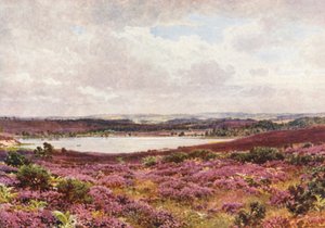 The Great Pond, Frensham by Harold Sutton Palmer