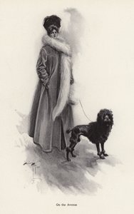 Woman in a long coat with a poodle by Harrison Fisher